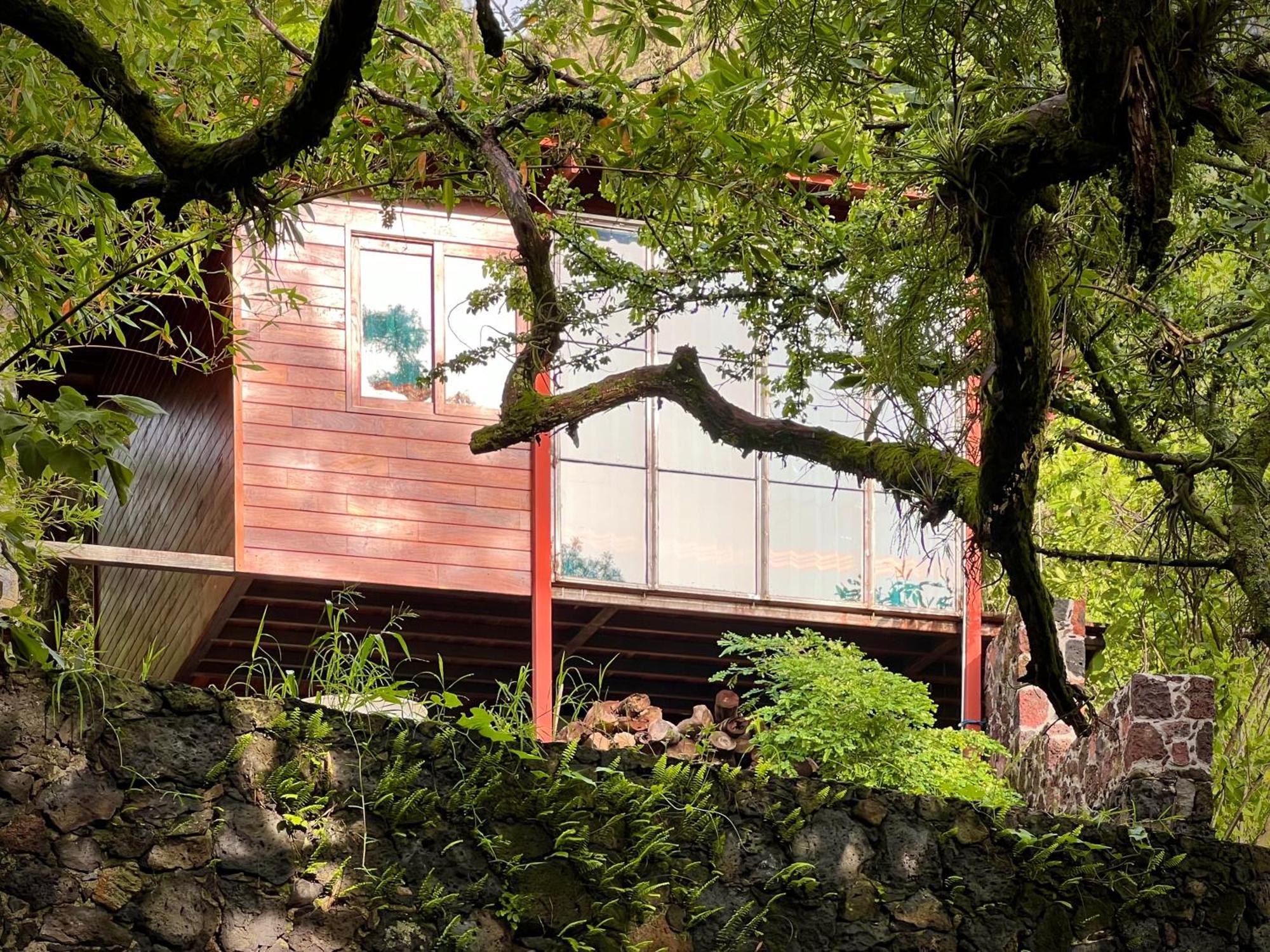 Santuario Ave Fénix-Cabañas Tepoztlán Extérieur photo