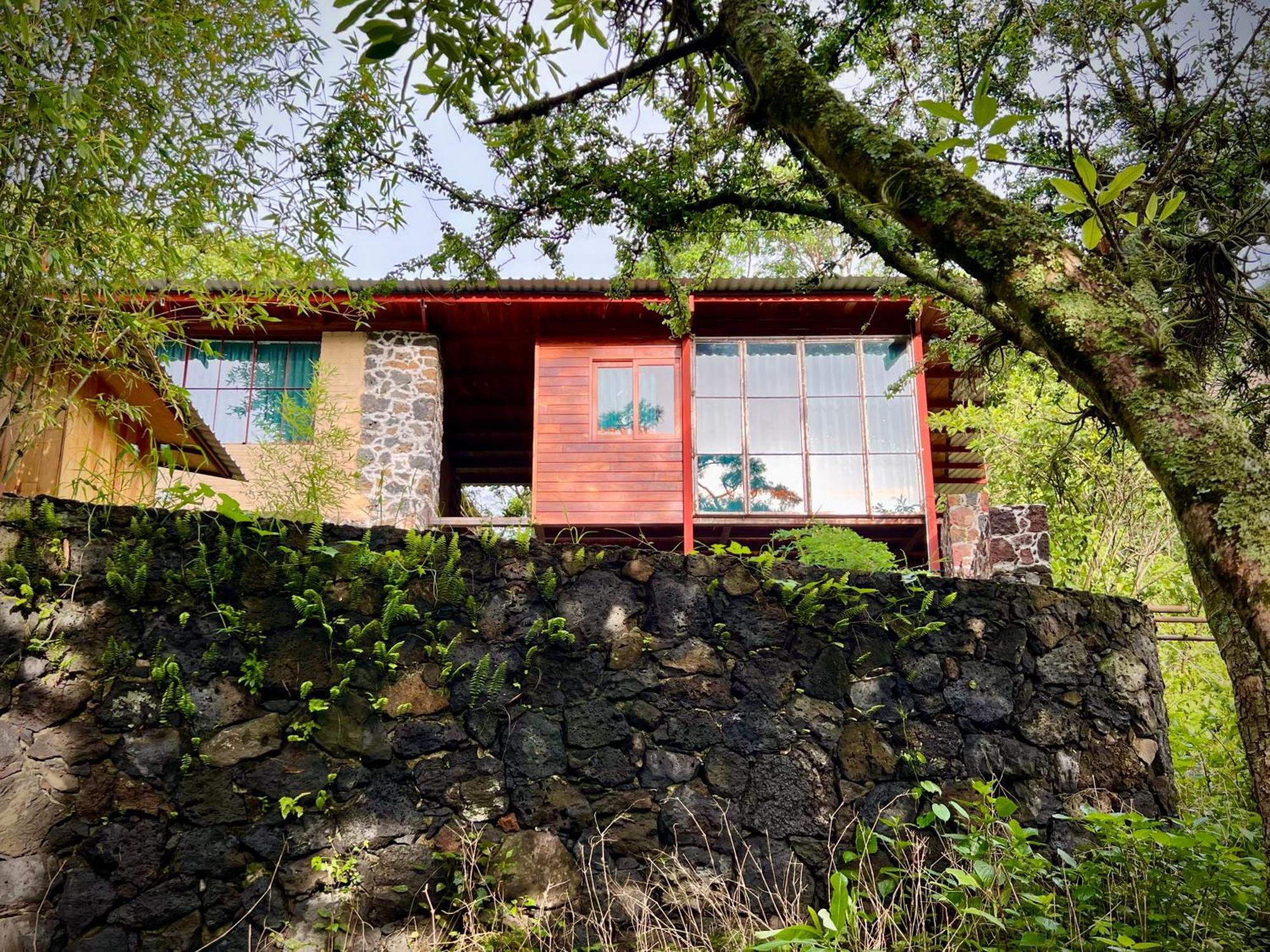 Santuario Ave Fénix-Cabañas Tepoztlán Chambre photo